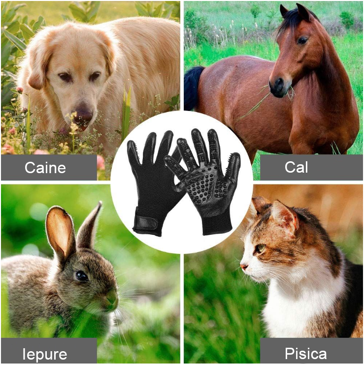 Set 2 x manusi periat si masat animalele