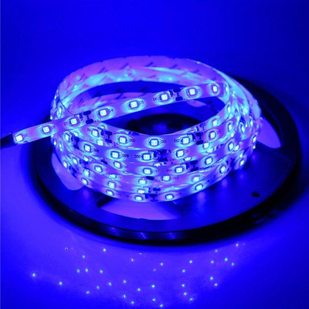 Banda led Albastra 3528, 300 leduri, 12V, 5m