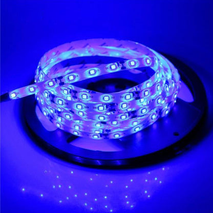 Banda led Albastra 3528, 300 leduri, 12V, 5m