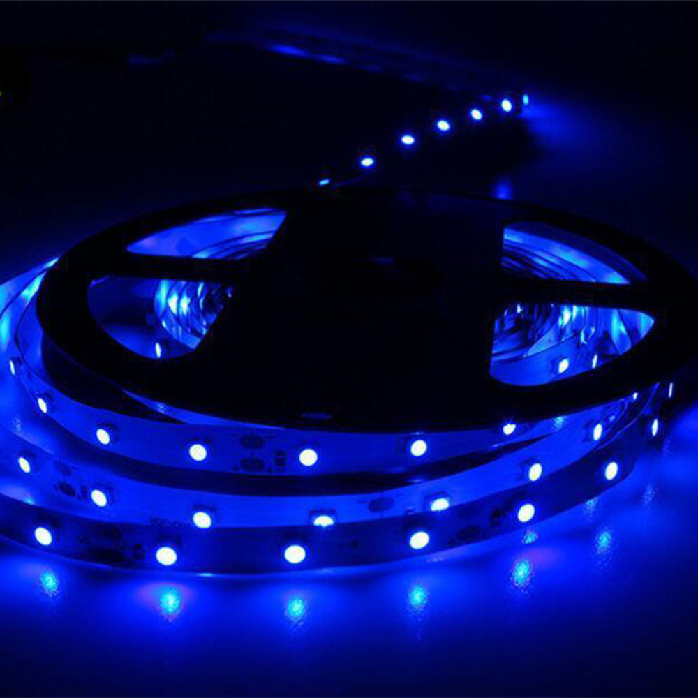 Banda led Albastra 3528, 300 leduri, 12V, 5m