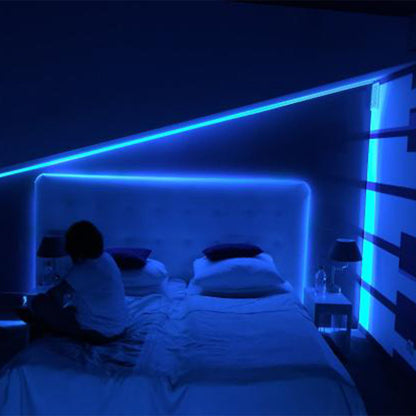 Banda led Albastra 3528, 300 leduri, 12V, 5m